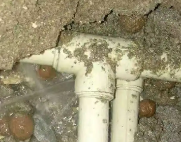 西塞山测漏水多少钱