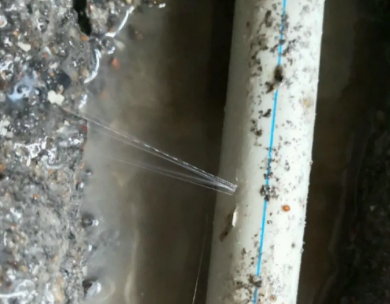 西塞山测漏水哪家好