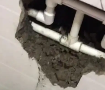 西塞山漏水检测电话