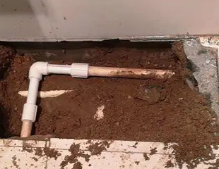 西塞山测漏水哪家好