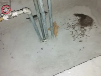 西塞山卫生间测漏水价格明细