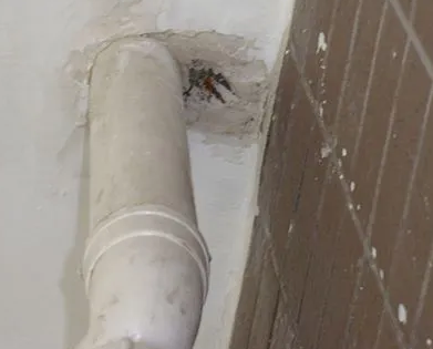 西塞山漏水检测哪家好